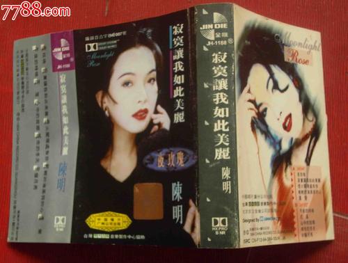 孤独使我如此美丽