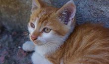 深埋心底的感动