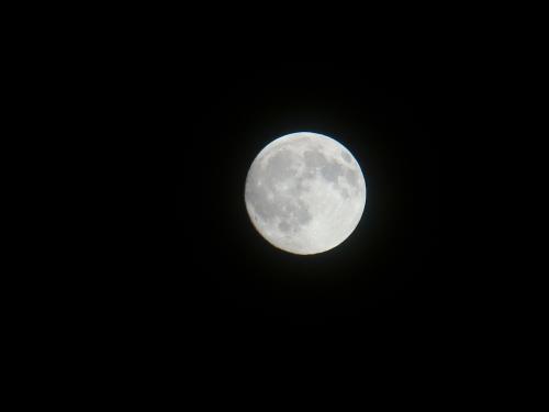 中秋月