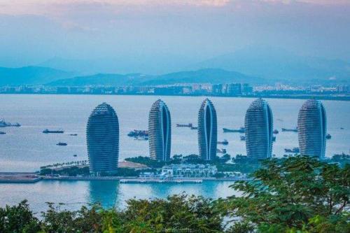 与它分享美好时光
