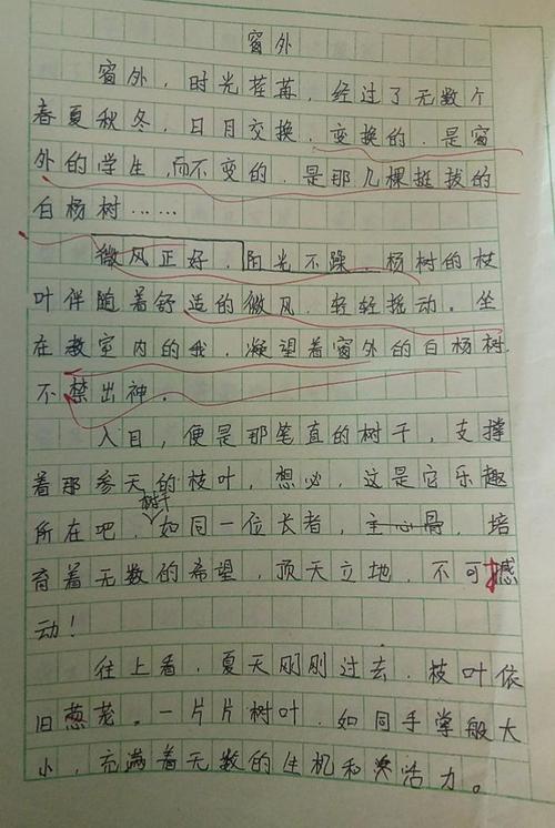 八年级作文窗口