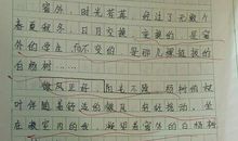 八年级作文窗外