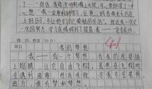 以努力为话题的作文