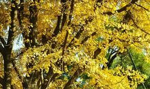 时光·学校·我们