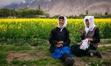 有趣的田园生活