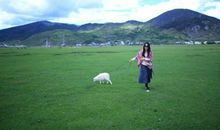 那一次我玩得真尽兴