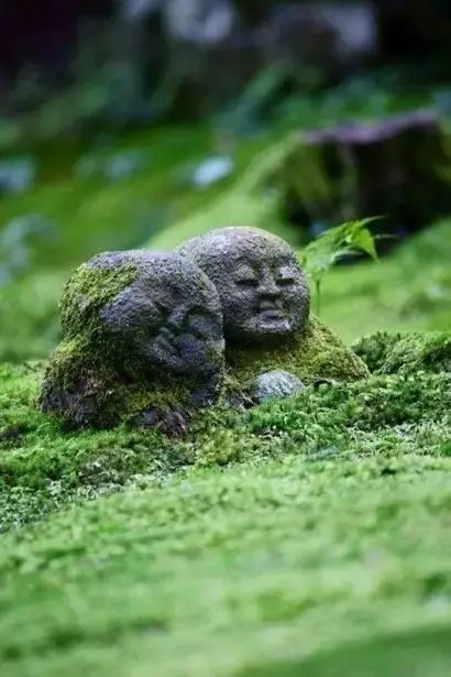 莫斯说