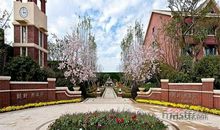 四季如你，你如四季