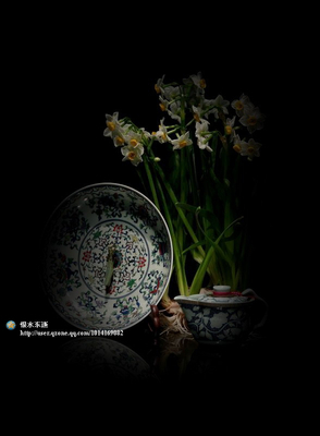 心中的一片叶子