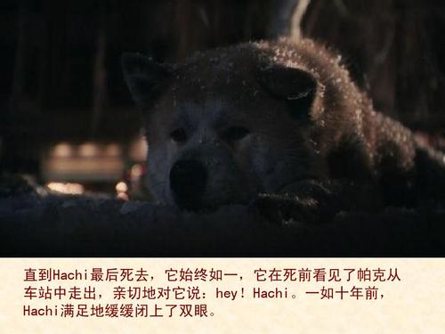 看完八公