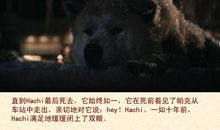忠犬八公读后感