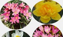 校园的一道风景线