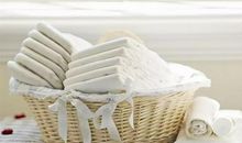 不可替代的纸质阅读