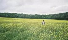 人生最宝贵的财富