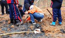 我为家乡添上一片绿