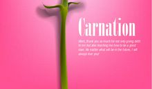 送给妈妈的特别礼物