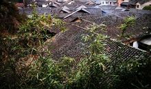 天下第一村张谷英