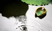 不给自己的人生留下空白