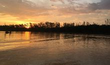 星星点亮红树林