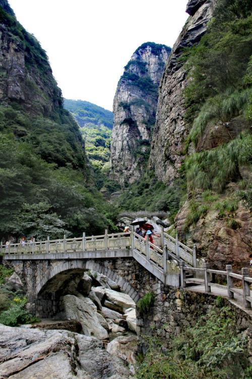 桑迪·斯普林（Sandie Spring）