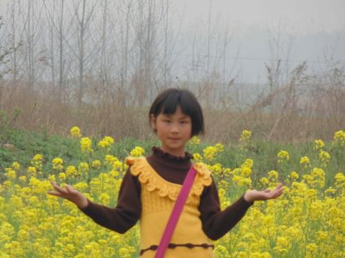 老师去哪儿了
