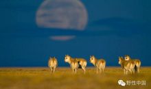 阳光总在坚持后