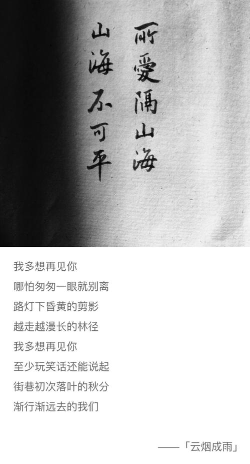 我真的很想再见到你