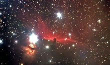 生命，璀璨的星光