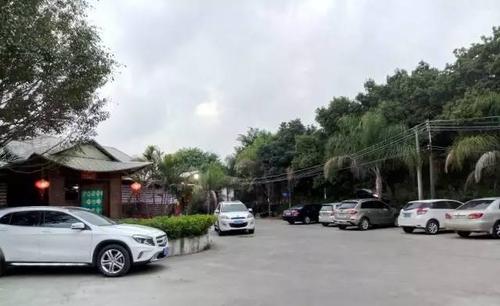 台风无情而深情