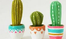 仙人掌研究报告