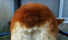 读懂那份深沉的爱