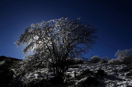 一场雪