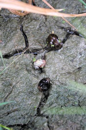 秋天的雨和油一样贵