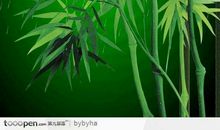 植物给我的启示