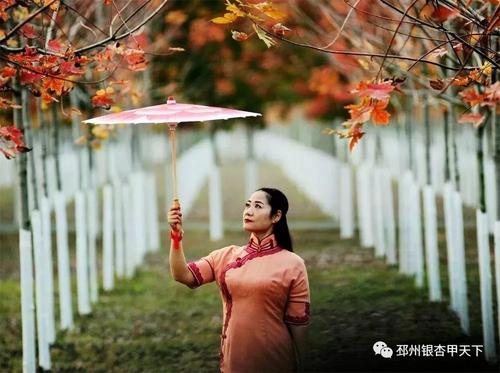 多彩Pi州
