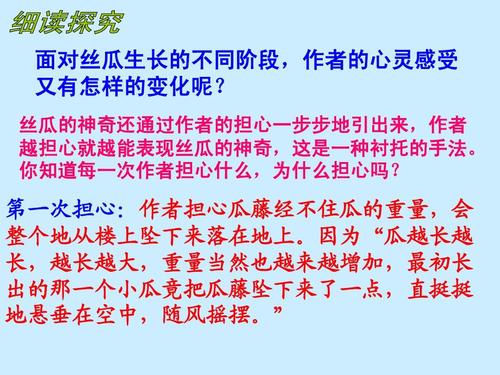 关于阅读《魔幻丝瓜》的思考