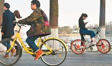 骑共享单车