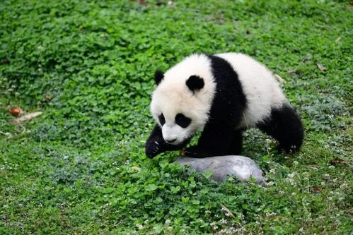大自然之旅