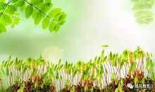 冬，属于我的季节