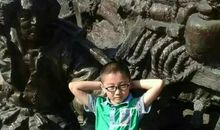 小学生作文我爱大海