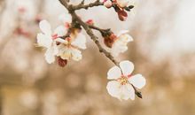 那些温暖的日子