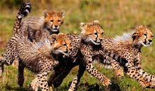 妈妈真的不容易