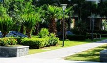 我们美丽的小区