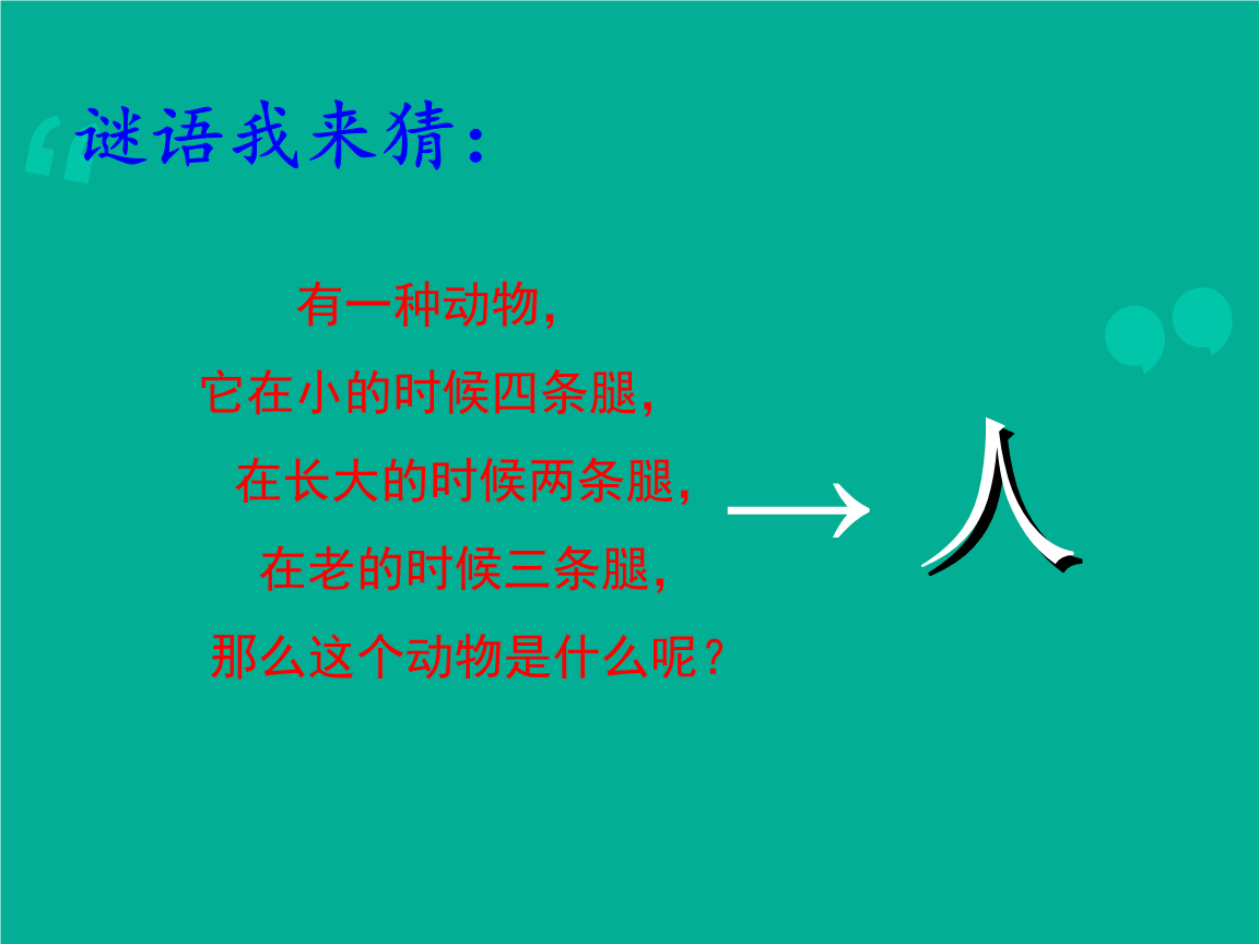 我最期待的课程