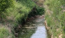 故乡的小溪牵动我的情思