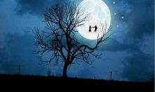 心灵深处的明月