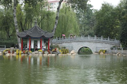 美丽的莲花湖公园