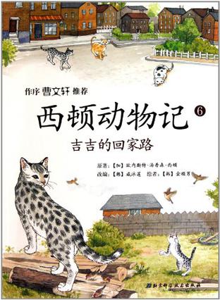 看完吉吉的回家路