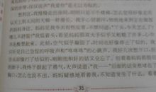 爱如()五年级作文