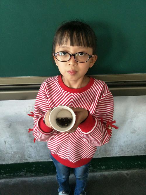 小豆芽的生长